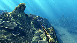 ꡼ No.004Υͥ / СɡͤƵ륹ԥեå󥰥֥ǥץ ϥ󥿡פ2012ǯ518˥꡼