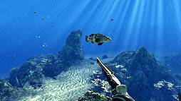 画像集#012のサムネイル/オーバーランド，モリで突いて魚を捕るスピアフィッシングシム「デプス ハンター」を，2012年5月18日にリリース