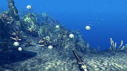 ꡼ No.015Υͥ / СɡͤƵ륹ԥեå󥰥֥ǥץ ϥ󥿡פ2012ǯ518˥꡼