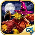 �ѥå�����