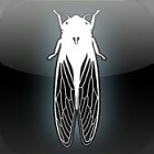 �ѥå�����