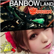 ꡼ No.005Υͥ / ˽ ñ֤θסΥ󥭡ȥץɡɤ̵ۿ