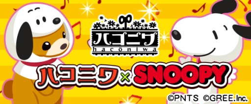 ꡼ No.003Υͥ / ֥ϥ˥פ֥ץפʤɤ̡ԡȥܡå륭ڡ