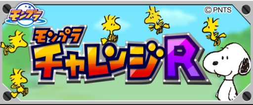 ꡼ No.005Υͥ / ֥ϥ˥פ֥ץפʤɤ̡ԡȥܡå륭ڡ