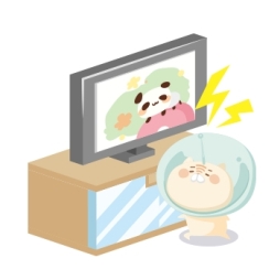 ꡼ No.010Υͥ / ֥åˡΥ쥷ԡפǡ֥ѥܥ餢ƤˤפȤΥܴ褬