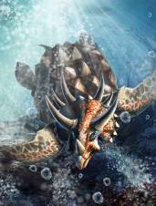 ꡼ No.007 | Dragons Kingdom׿ɥץǰΥڡ»