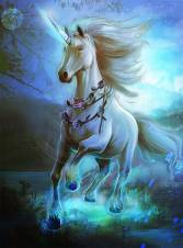 ꡼ No.008 | Dragons Kingdom׿ɥץǰΥڡ»