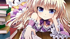 ꡼ No.017 | ƥॽեȡեֻɱСǤζפΥॷƥʤɡǿ