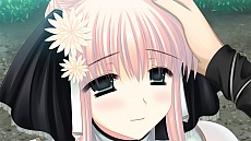 ꡼ No.022 | ƥॽեȡեֻɱСǤζפΥॷƥʤɡǿ