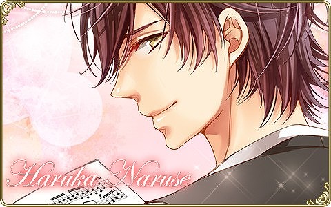 ꡼ No.004Υͥ / HOTEL̩Υ롼ॵӥס6ܤιάڡפо