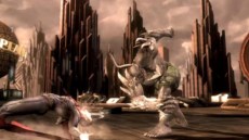 ꡼ No.017Υͥ / ֥󥸥㥹ƥʥҡˤη͡פо줹֥ޥס֥顼եȡפʤ5ͤҲ