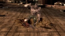 ꡼ No.019Υͥ / ֥󥸥㥹ƥʥҡˤη͡פо줹֥ޥס֥顼եȡפʤ5ͤҲ