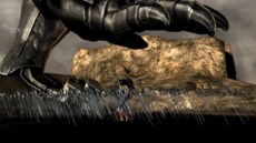 ꡼ No.024Υͥ / ֥󥸥㥹ƥʥҡˤη͡פо줹֥ޥס֥顼եȡפʤ5ͤҲ