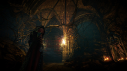���������꡼ No.015�Υ���ͥ������ / ��E3 2013�ϥɥ饭��餬��͸��Ȥʤä���Castlevania -Lords of Shadow- 2�ץץ쥤��ݡ��ȡ��������۷쥢�������⥢��