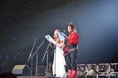 ꡼ No.015 | ֥ƥ륺  եƥХ 2012פϥڥ륹åȤ饤֡ƥȡʡˤ夬ꡣ5ǯޤ꡼κŵݡ