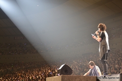 ꡼ No.062 | ֥ƥ륺  եƥХ 2012פϥڥ륹åȤ饤֡ƥȡʡˤ夬ꡣ5ǯޤ꡼κŵݡ