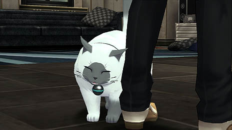 ꡼ No.004 | ֥ƥ륺  ꥢ2פκǿ󤬸Ѥ䥭饯Ʈƥʤɤ餫