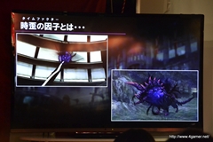 ꡼ No.031 | Ͼͺץǥ塼֥ƥ륺  ꥢ2פҲ𤷤Ƶ٤ߥȡ٥Ȥȡ826ޤǳŤ֥ƥ륺  ƺפפݡ