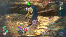 ꡼ No.005 | ֥ԥߥ3סо줹ִԥߥסֱԥߥפΤۤܥ饯ãǿΥ꡼󥷥åȤȶ˾Ҳ