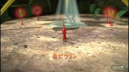 ꡼ No.005 | Ի׵ĤʪȥԥߥɤϢơõ˽Ф褦֥ԥߥ3פץ쥤ࡼӡǾҲ