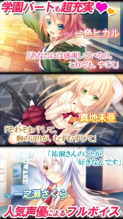 ꡼ No.003 | 󥢥ADV֥ΥȥХåȡAndroidۿ