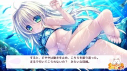 ꡼ No.012Υͥ / رɥ٥㡼֤ߤ쥰󥢥åסAndroidǤ˨APPۿ