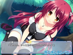 ꡼ No.012Υͥ / ر֥ADV֤Ф󤺡ꥢͤˤǤ뤳ȡפ˨APPۿ