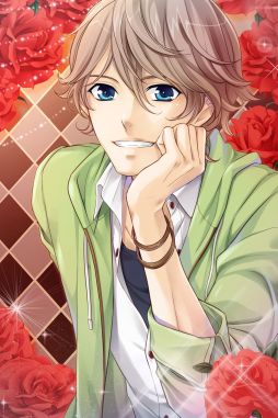 ꡼ No.007Υͥ / ADV֥LOVE֥å3Ƥǥˤۿ