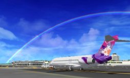 ꡼ No.006Υͥ / 3DSѥեȡ֤ܤϹҶ ݡȥҡ3D ۥΥ׺ȯ䡣꥾ȵʬΥۥΥǴӤ򿶤뤪