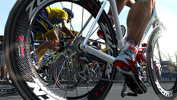 ꡼ No.004Υͥ / ֥ץ󥰥ޥ͡㡼 2012פ2012ǯ726ȯ䡣ƥ֥󡦥ץʡܡAIǽϸ