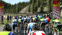 ꡼ No.006Υͥ / ֥ץ󥰥ޥ͡㡼 2012פ2012ǯ726ȯ䡣ƥ֥󡦥ץʡܡAIǽϸ