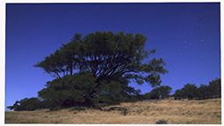 ꡼ No.006 | AIѤ򥢥ץȤGoogleAndroidVR HMDDaydreamפκǿФGoogle I/OĴֱݡ