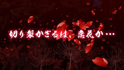 ꡼ No.044 | ӡѡƥοȥ9ȯɽ100ͤʤǡ״Ϫȡⶶľ㤵ݻϯΥȡåݡ