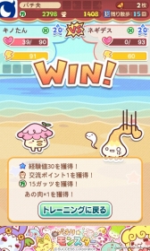 ���������꡼ No.005�Υ���ͥ������ / �֥ѥ������󥹥����׿��쥢��󥹡ȥ⥵���ɤʤɤ�ʡ������������о�