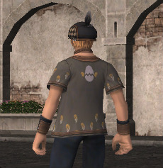 ꡼ No.049 | ֥եʥե󥿥XIס6ǯ֤γĥǥ֥ɥⶭפ2013ǯ327ȯ䡣ȿɥԻƱɤȤϡġġ