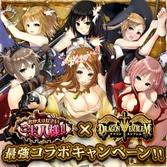 ꡼ No.003Υͥ / ֤ʤ͡סߡ֥ɥ饴󥨥֥ץܥڡ»