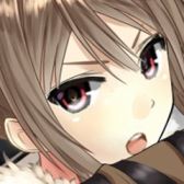 ꡼ No.005Υͥ / ֤ʤ͡סߡ֥ɥ饴󥨥֥ץܥڡ»