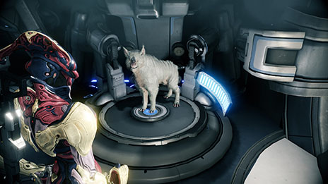 ꡼ No.003Υͥ / Warframeסڥåȡȥ֥ɤμUIκޤ륢åץǡ14ֶäҡפ»ܡϿԿ1000ͤã