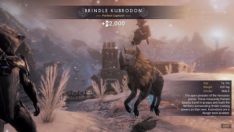 ꡼ No.004Υͥ / PCǡWarframeפγĥѥå֥եʡפۿϥƥեߥ󥰤줿