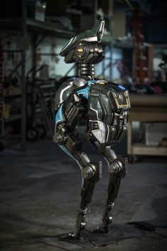 ���������꡼ No.011�Υ���ͥ������ / ��Warframe�ס��ꥢ�륤�٥�ȡ�TennoCon�פ˼�ʪ��Ρȥ⥢�ɤ��Ÿ