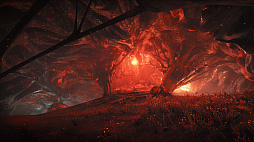 ���������꡼ No.012�Υ���ͥ������ / ��Warframe�פΥ�ǥ��������ǥ���ݡ��ȡ�8��26���˼»ܤ���륢�åץǡ��ȡ֥����⥹�ο�¡�פγ��פ����餫��