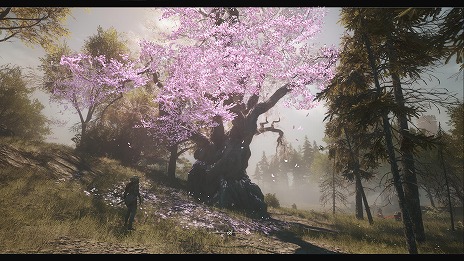 ꡼ No.007Υͥ / Warframe: 1999פ³ԥȡ꡼֥ƥååȡ󥳡ס320˥꡼SoulframeפΥץ쥤