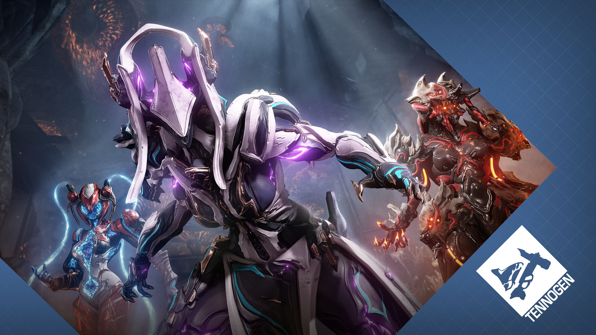 ꡼ No.006 | WarframeסMODƥؤ٤륯Ȥ62ܤWarframeNokkoפʤɤɲä緿åץǡȤ»