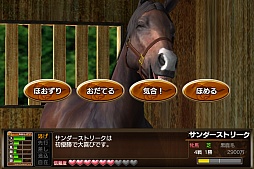 ꡼ No.005Υͥ / iOSDERBY OWNERS CLUBפӥϡץ쥤Ƥʬࡼӡ