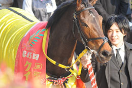 ꡼ No.003Υͥ / DERBY OWNERS CLUBס٥ȡ־ΡϤʤꤣաפ18곫