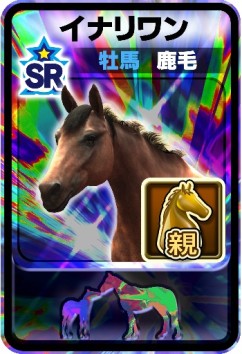 ꡼ No.005 | DERBY OWNERS CLUBס졼涥Ͼ1230˼»