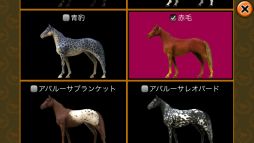 ������#007�Υ���ͥ���/��DERBY OWNERS CLUB�ץ������й���֥��ӥ��ʡ�2��ǯ�紶���ա׳���