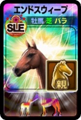 ꡼ No.005Υͥ / DERBY OWNERS CLUBGW̥ץ쥼ȥڡ