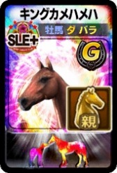 ꡼ No.006Υͥ / DERBY OWNERS CLUBGW̥ץ쥼ȥڡ