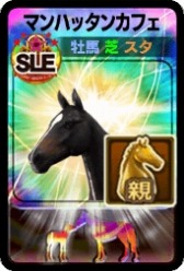 ꡼ No.008Υͥ / DERBY OWNERS CLUBGW̥ץ쥼ȥڡ